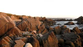 Asilomar State Beach Pacific Grove California [upl. by Eleon83]