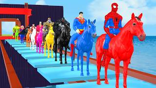 Siêu nhân nhện🕷️Spider Man vs Squid game horse racing challenge across glass bridge vs Shark Spider [upl. by Nolahp]