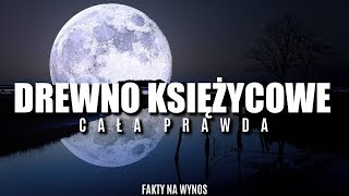 DRZEWA KSIĘŻYCOWE  CAŁA PRAWDA [upl. by Ellinnet]