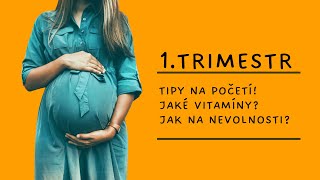 1TRIMESTR  TIPY NA POČETÍ  NEVOLNOSTI  VITAMÍNY [upl. by Akina]