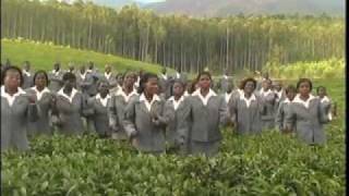 MALAWI CATHOLIC MUSIC ST MONTFORT CI CATHOLIC CHOIRMALAWIKUKONDA MARIAmp4 [upl. by Ninel]