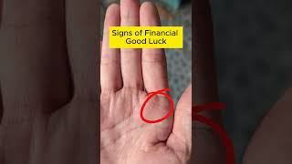 Signs of Financial Good Luck Palmistry PalmReading [upl. by Jeffries]