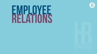 HR Basics Employee Relations [upl. by Noyar]