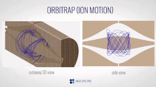 Orbitrap  Ion Motion [upl. by Bertolde853]