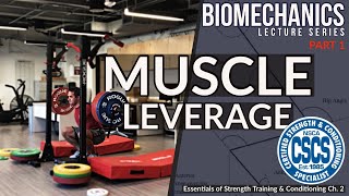 Biomechanics and Muscle Leverage  CSCS Chapter 2 [upl. by Spragens]