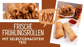 Frühlingsrollen mit selbstgemachtem Teig ohne Pinseln  Einfaches Rezept zum Nachkochen [upl. by Ttenaej334]