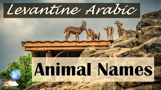 Animals in Levantine Arabic  Vocabulary Lesson [upl. by Ysle]