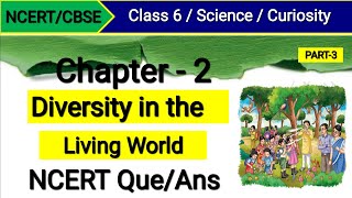 Class 6 Science Chapter 2  NCERT Question Answer  Diversity in the Living World  Curiosity [upl. by Marrilee884]