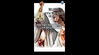 체나콜로 성모님 메시지 회개  2 quot 내 티없는 성심의 피난처로 모두 들어오너라 quot [upl. by Enniotna639]