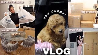 MOVING VLOG 2 apartment shopping new furniture home decor haul  i got a new puppy [upl. by Aleahcim]