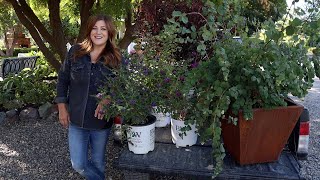 Planting Sun Loving Shrubs Butterfly Bush Ninebark amp Coralberry 💚🌿💚  Garden Answer [upl. by Esorlatsyrc]