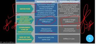 Symmetric karyotype VS Asymmetric karyotype [upl. by Eenafit]