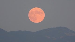 Le magnifiche immagini delleclissi parziale di Luna nei cieli italiani [upl. by Varhol]