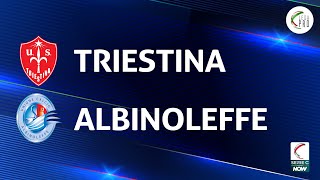 Triestina  Albinoleffe 23  Gli Highlights [upl. by Nylia769]