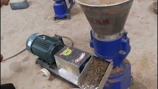 corn grass feed pellet making machine for poultry farm [upl. by Nwahsir]