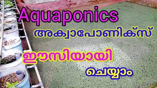 aquaponics aquaponics ഈസിയായി വീട്ടിൽ ചെയ്യാം മീനും പച്ചക്കറികളും കൃഷി [upl. by Nire]