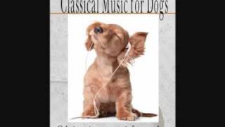 Calming Music for Dogs Popular SubGenres [upl. by Dyolf]