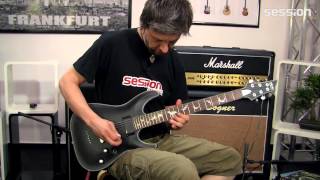 SCHECTER Damien Platinum 6 SB [upl. by Alel139]