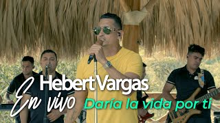 Hebert Vargas  Daría la Vida Por Ti En vivo [upl. by Grekin717]