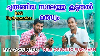 Nile fish farm thrissur  ECO OWN MEDIA RAS system Malayalam [upl. by Airamak]