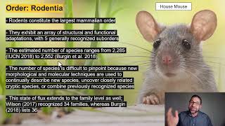 Lecture 52Orders Rodentia and Lagomorpha [upl. by Hall]