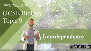 Interdependence  GCSE Biology 91 93 [upl. by Naivaf]