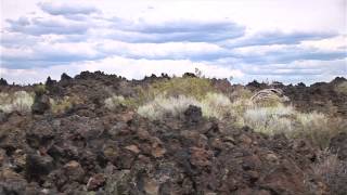 Accessible Adventures Deschutes National Forest [upl. by Adall49]