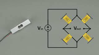 Load Cell Basics  What Is a Load Cell [upl. by Chill]