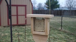 How to Make a Suet Bird Feeder woodloggercom [upl. by Graubert]