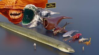 Largest sea creatures size comparison 3D animation animation [upl. by Ethbin]