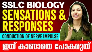 SSLC Biology Exam  Conduction of Nerve Impulse  Sensations and Responses അറിയാനും പ്രതികരിക്കാനും [upl. by Esma]