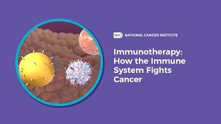 Immunotherapy How the Immune System Fights Cancer [upl. by Hapte]