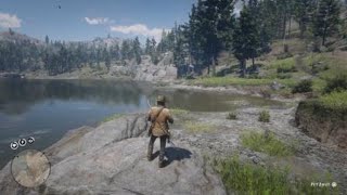 Red Dead Redemption 2  RDR2  PACIFIC LOON  LOCATION  ZOOLOGIST 77  SKIN DEEP [upl. by Ahsinnod]