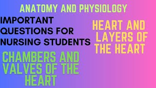 HEART AND LAYERS OF THE HEART anatomyandphysiology functions of the heartnursingstudent [upl. by Amasa]