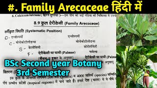 Family Arecaceae in hindi  BSc first year Botany Third Semester [upl. by Epuladaug]