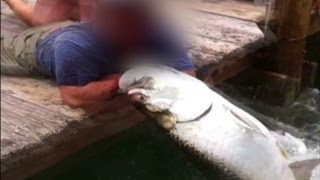 Watch man get into fish fight [upl. by Zysk]