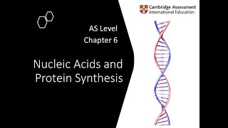 Chapter 61a  DNA and RNA Structure  Cambridge ALevel 9700 Biology [upl. by Nosidda]