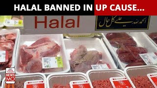 India Approved Export and Import of Meat  HALAL Certification Kahani Ya Hakikat [upl. by Burrows]