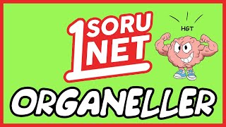 Organeller 695  TYT Biyoloji [upl. by Orme161]