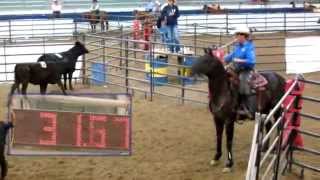 Ranch Sorting National Championships Ranch Sorting at its Best [upl. by Galanti]