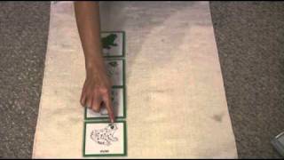 Montessori Bonus Lessons  How To Use 3 Part Cards In A Montessori Lesson [upl. by Hephzipa]