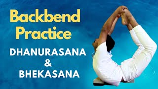 Dhanurasana  Bhekasana  Backbend Yoga Practice  Anmol Singh backbend backbendyoga dhanurasana [upl. by Beera976]