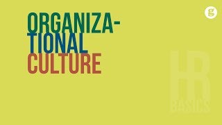 HR Basics Organziational Culture [upl. by Ynohta]