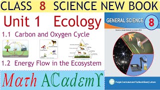 Science 8 Unit 1 Ecology  Carbon and oxygen cycle  Energy flow in the ecosystem [upl. by Sumerlin634]