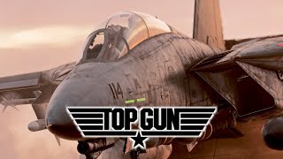 DCS WORLD  Danger Zone [upl. by Ardnossac]