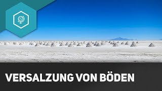 Versalzung von Böden  Bodendegradation 2 [upl. by Renba]