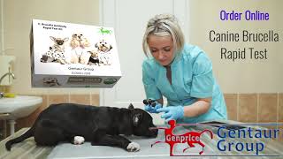 Canine Brucella Rapid Test [upl. by Ahsimal823]