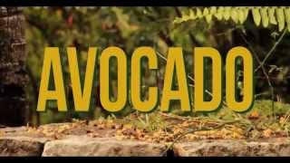 Jah9  Avocado Official Video [upl. by Leta]