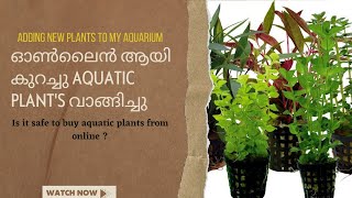 Is it safe to buy aquatic plants online planted tank updation malayalam [upl. by Kapeed618]