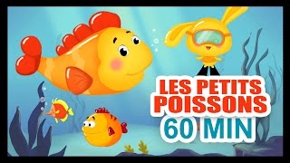 Les petits poissons dans leau  1H DE COMPTINES POUR LES PETITS  Titounis [upl. by Sarge]